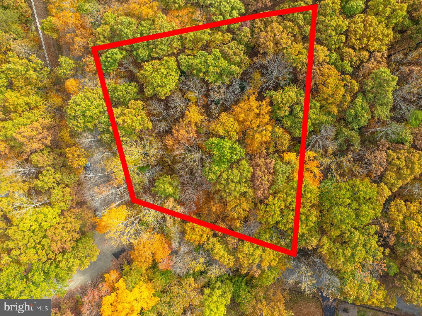 LOT 11 - PLEASANTS LN, MINERAL, Virginia 23117, ,Land,For sale,LOT 11 - PLEASANTS LN,VALA2006814 MLS # VALA2006814