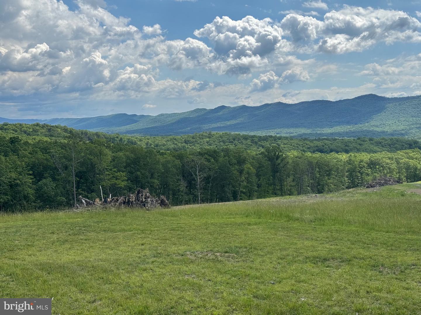 0 MOUNT SINAI POINTE, FORT VALLEY, Virginia 22652, ,Land,For sale,0 MOUNT SINAI POINTE,VASH2010068 MLS # VASH2010068