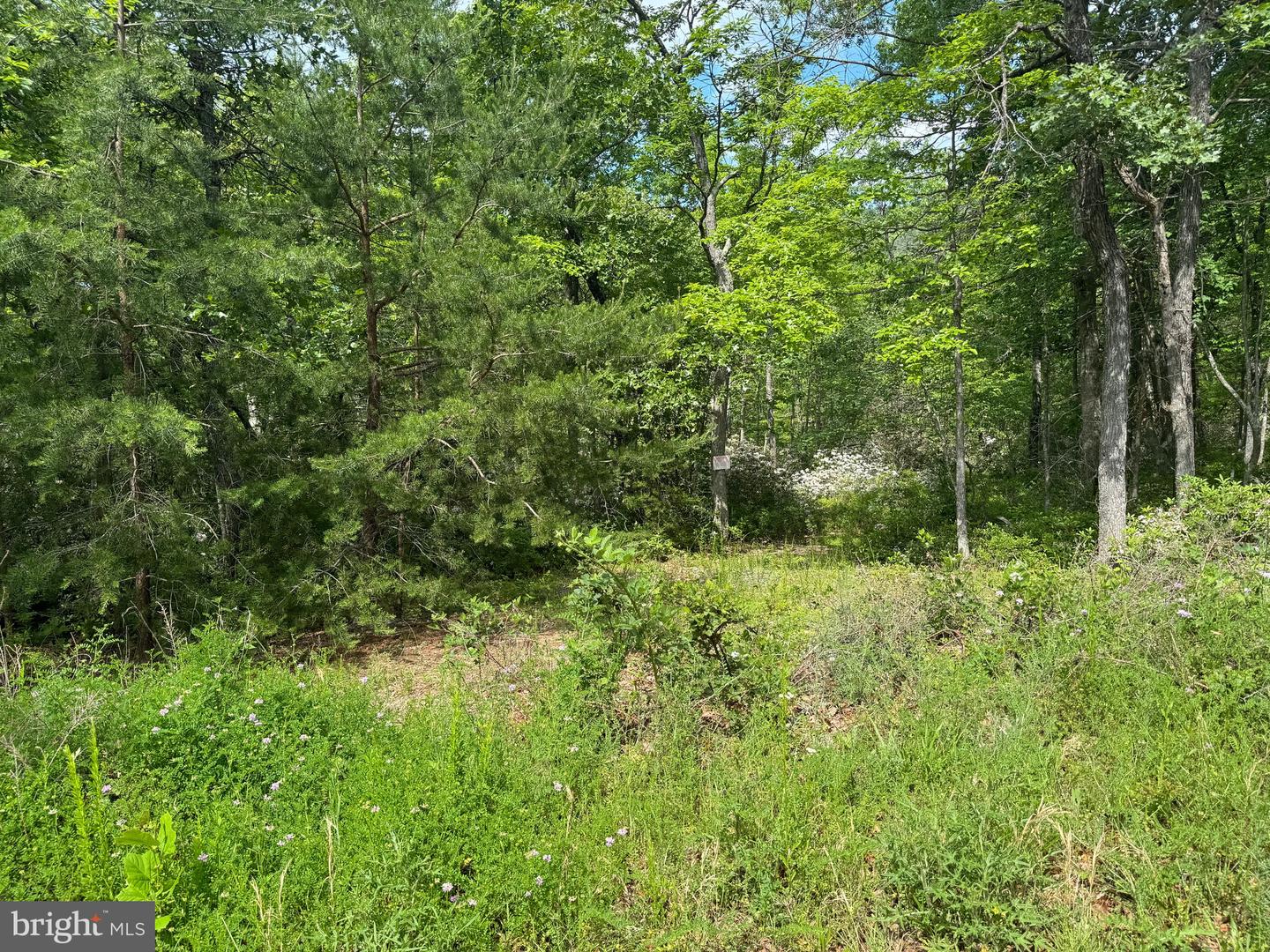 0 MOUNT SINAI POINTE, FORT VALLEY, Virginia 22652, ,Land,For sale,0 MOUNT SINAI POINTE,VASH2010068 MLS # VASH2010068