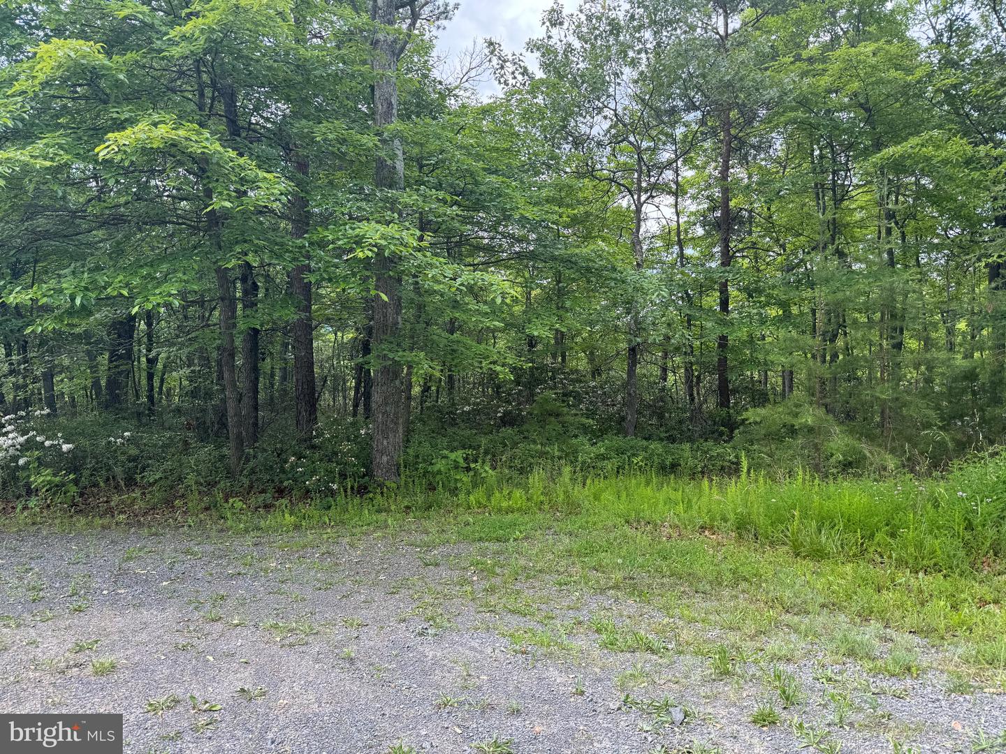 0 MOUNT SINAI POINTE, FORT VALLEY, Virginia 22652, ,Land,For sale,0 MOUNT SINAI POINTE,VASH2010068 MLS # VASH2010068