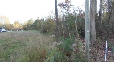 COPLE HWY, MONTROSS, Virginia 22520, ,Land,For sale,COPLE HWY,VAWE2007754 MLS # VAWE2007754