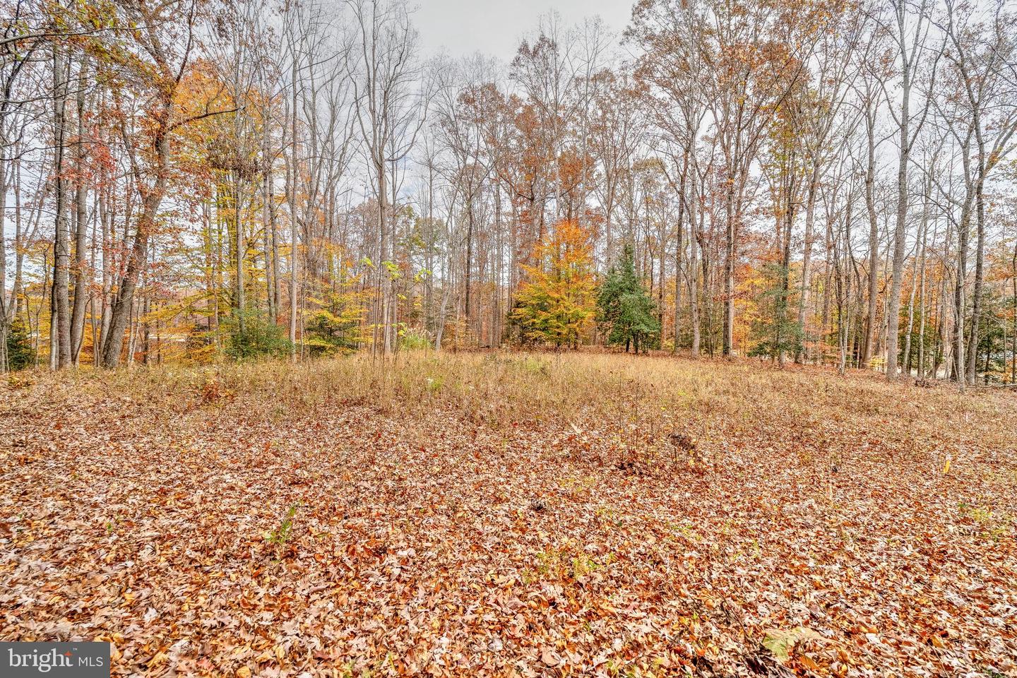 14019 MEADES CT, FREDERICKSBURG, Virginia 22407, ,Land,For sale,14019 MEADES CT,VASP2029086 MLS # VASP2029086