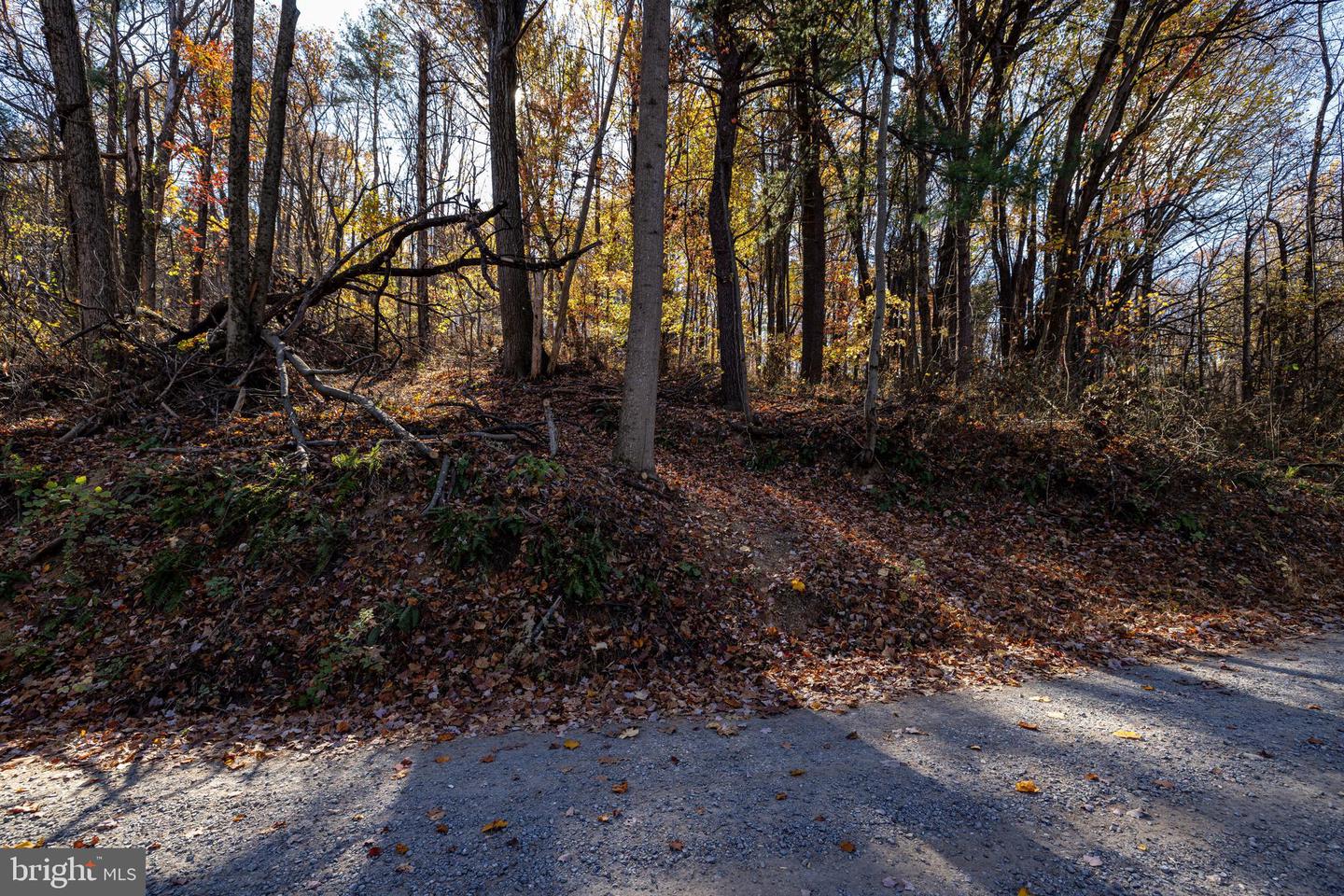 0 FRIENDLY LN, STANLEY, Virginia 22851, ,Land,For sale,0 FRIENDLY LN,VAPA2004192 MLS # VAPA2004192