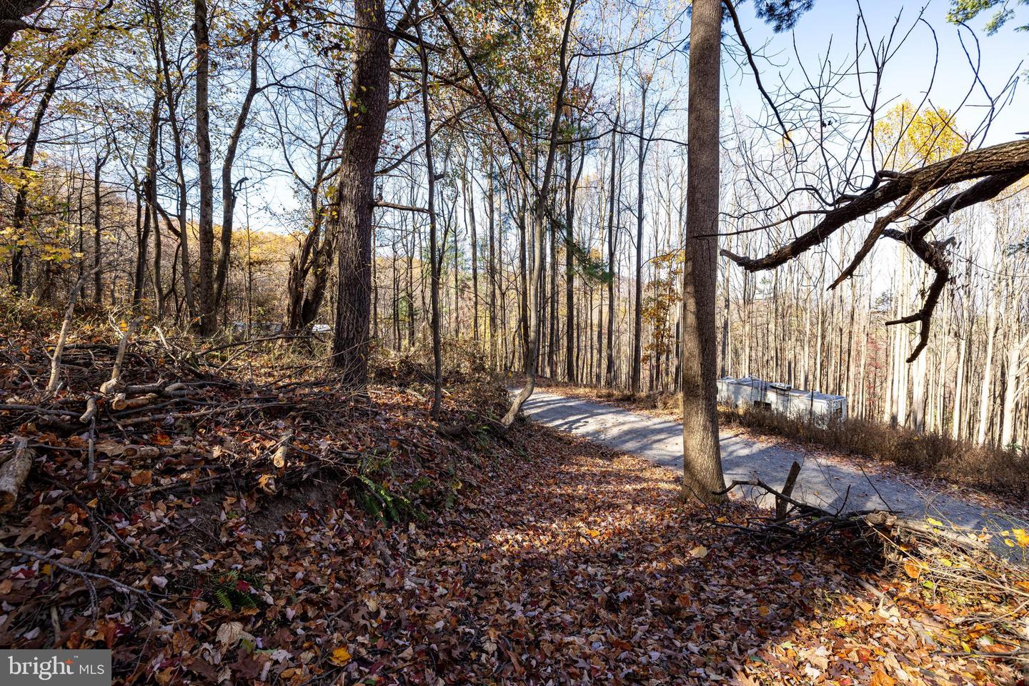 0 FRIENDLY LN, STANLEY, Virginia 22851, ,Land,For sale,0 FRIENDLY LN,VAPA2004192 MLS # VAPA2004192