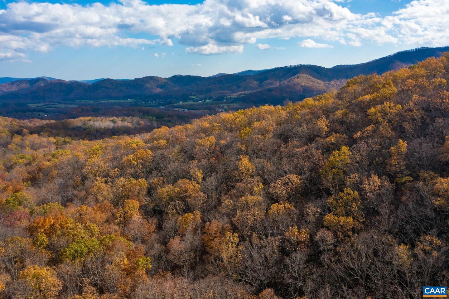 TREE HOUSE PL #43, NELLYSFORD, Virginia 22958, ,Land,For sale,TREE HOUSE PL #43,658638 MLS # 658638