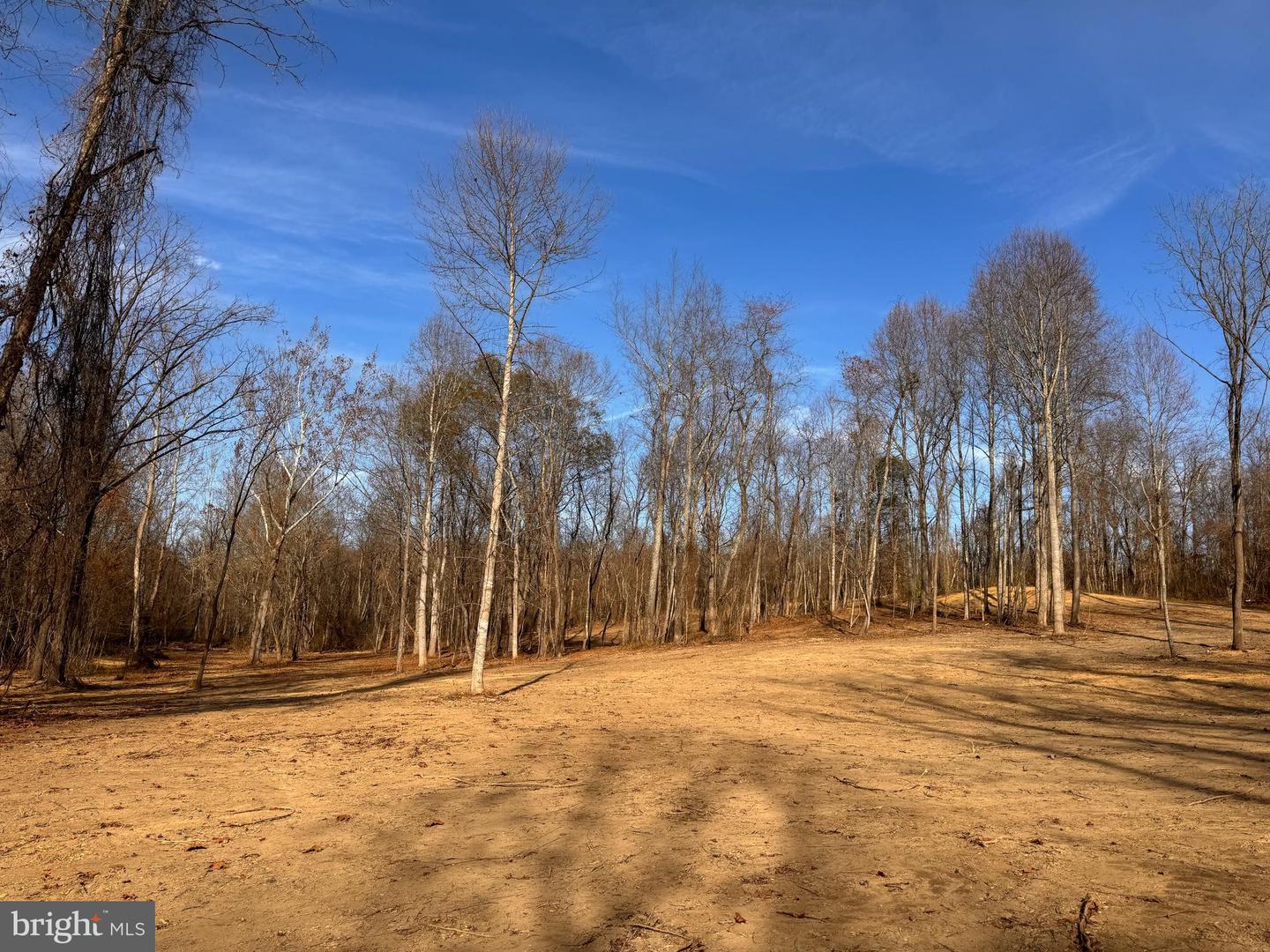 0 FLATWOOD LANE, WASHINGTON, Virginia 22747, ,Land,For sale,0 FLATWOOD LANE,VARP2001834 MLS # VARP2001834