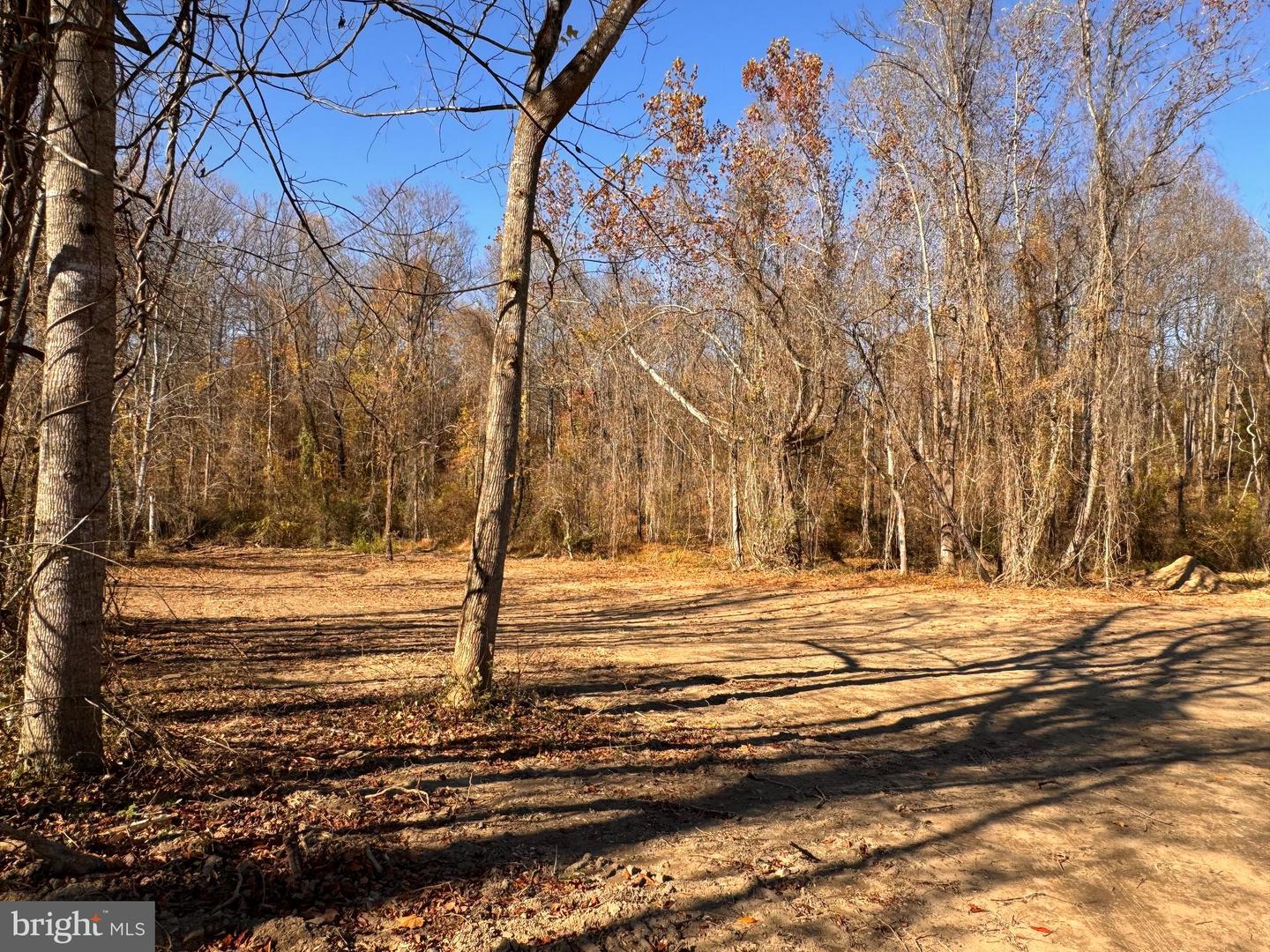 0 FLATWOOD LANE, WASHINGTON, Virginia 22747, ,Land,For sale,0 FLATWOOD LANE,VARP2001834 MLS # VARP2001834