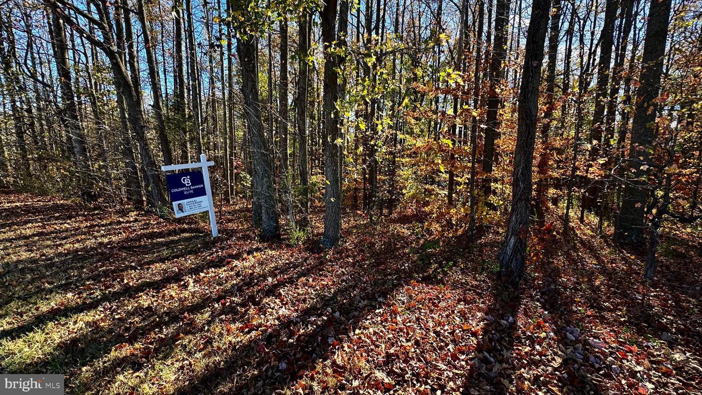 ZACATA RD, MONTROSS, Virginia 22520, ,Land,For sale,ZACATA RD,VAWE2007750 MLS # VAWE2007750