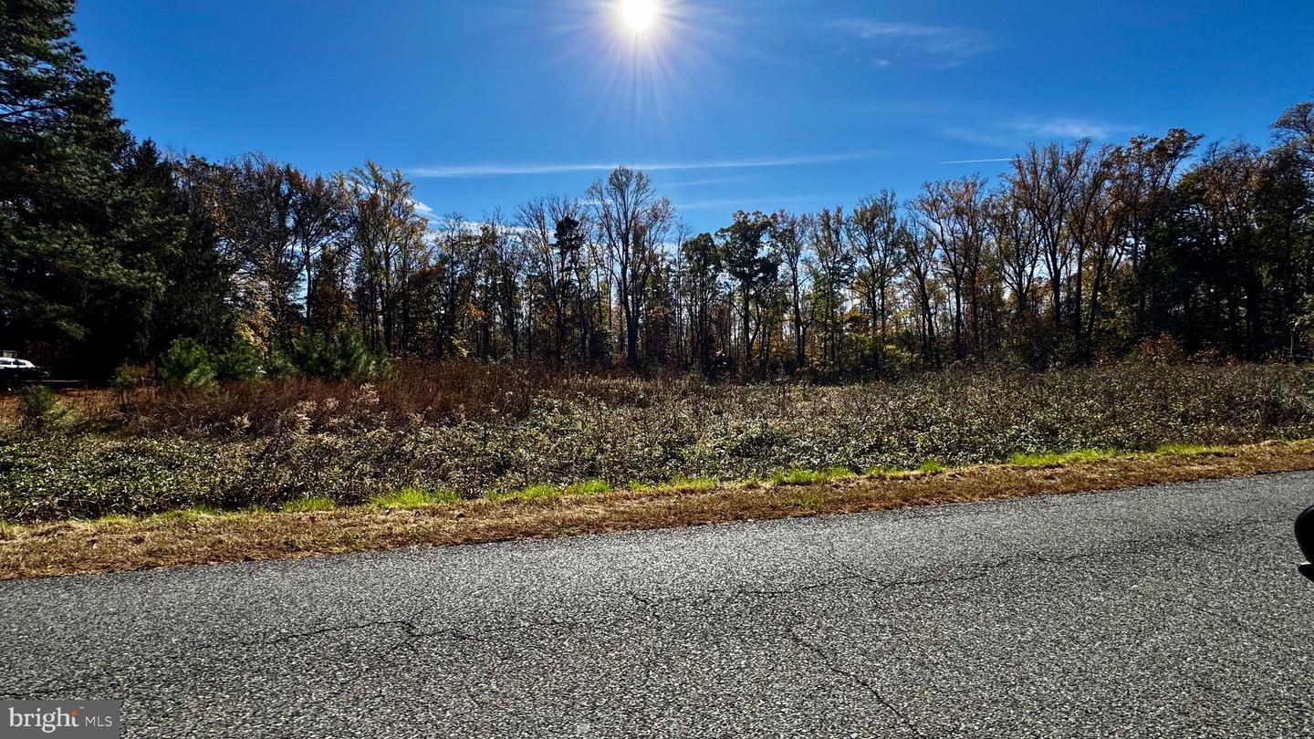 ZACATA RD, MONTROSS, Virginia 22520, ,Land,For sale,ZACATA RD,VAWE2007750 MLS # VAWE2007750