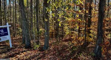 ZACATA RD, MONTROSS, Virginia 22520, ,Land,For sale,ZACATA RD,VAWE2007750 MLS # VAWE2007750