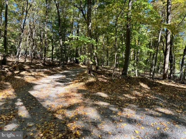 LONG LANE, LOVETTSVILLE, Virginia 20180, ,Land,For sale,LONG LANE,VALO2081864 MLS # VALO2081864