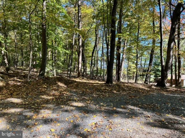 LONG LANE, LOVETTSVILLE, Virginia 20180, ,Land,For sale,LONG LANE,VALO2081864 MLS # VALO2081864