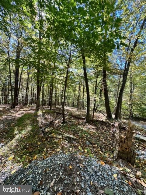 LONG LANE, LOVETTSVILLE, Virginia 20180, ,Land,For sale,LONG LANE,VALO2081864 MLS # VALO2081864