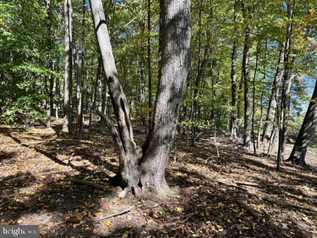 LONG LANE, LOVETTSVILLE, Virginia 20180, ,Land,For sale,LONG LANE,VALO2081864 MLS # VALO2081864