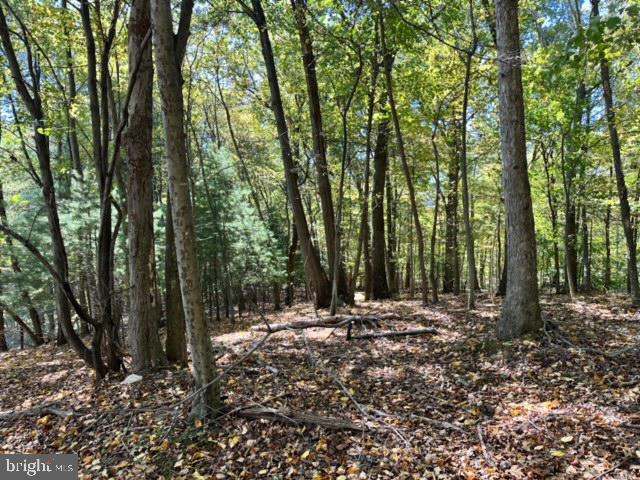 LONG LANE, LOVETTSVILLE, Virginia 20180, ,Land,For sale,LONG LANE,VALO2081864 MLS # VALO2081864