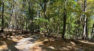 LONG LANE, LOVETTSVILLE, Virginia 20180, ,Land,For sale,LONG LANE,VALO2081864 MLS # VALO2081864