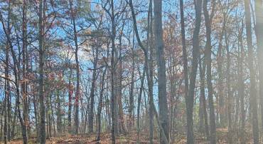 LOT 16 E LINCOLN ESTATES SUBDIVISION, WINCHESTER, Virginia 22602, ,Land,For sale,LOT 16 E LINCOLN ESTATES SUBDIVISION,VAFV2022832 MLS # VAFV2022832