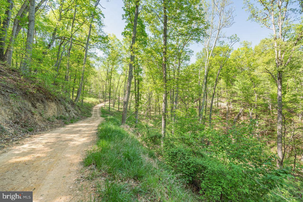 US HWY 340 GALLOWAY SPRINGS #LOT 2, STANLEY, Virginia 22851, ,Land,For sale,US HWY 340 GALLOWAY SPRINGS #LOT 2,VAPA2004176 MLS # VAPA2004176