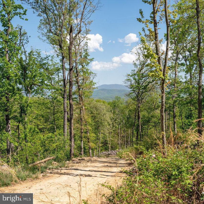 US HWY 340 GALLOWAY SPRINGS #LOT 2, STANLEY, Virginia 22851, ,Land,For sale,US HWY 340 GALLOWAY SPRINGS #LOT 2,VAPA2004176 MLS # VAPA2004176