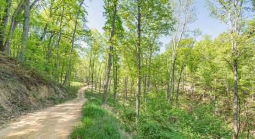 US HWY 340 GALLOWAY SPRINGS #LOT 2, STANLEY, Virginia 22851, ,Land,For sale,US HWY 340 GALLOWAY SPRINGS #LOT 2,VAPA2004176 MLS # VAPA2004176