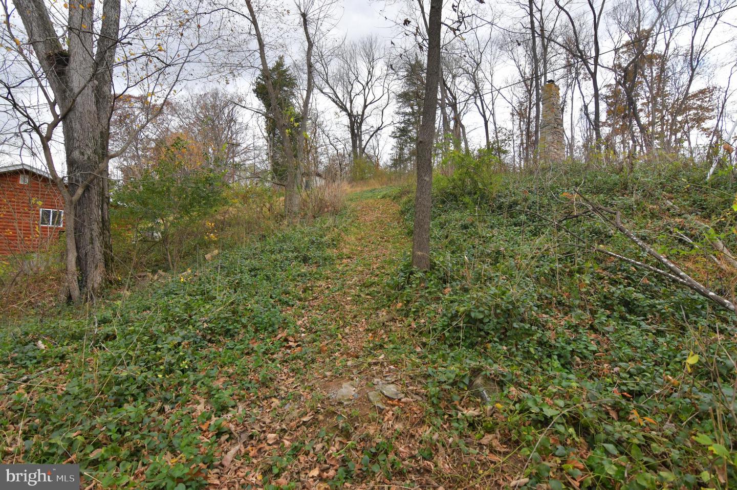 LOT D 629-87 LOCKES MILL RD, BERRYVILLE, Virginia 22611, ,Land,For sale,LOT D 629-87 LOCKES MILL RD,VACL2003170 MLS # VACL2003170