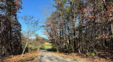 LOT 1B FISHEL RD, WINCHESTER, Virginia 22602, ,Land,For sale,LOT 1B FISHEL RD,VAFV2022846 MLS # VAFV2022846