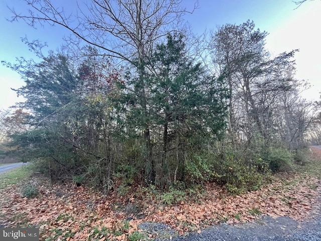 OAK LANE, LURAY, Virginia 22835, ,Land,For sale,OAK LANE,VAPA2004196 MLS # VAPA2004196