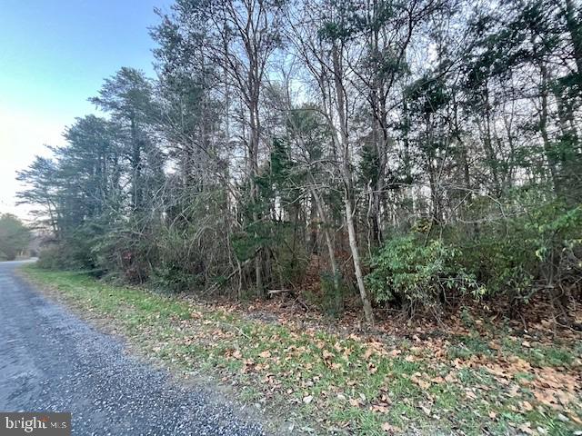 OAK LANE, LURAY, Virginia 22835, ,Land,For sale,OAK LANE,VAPA2004196 MLS # VAPA2004196