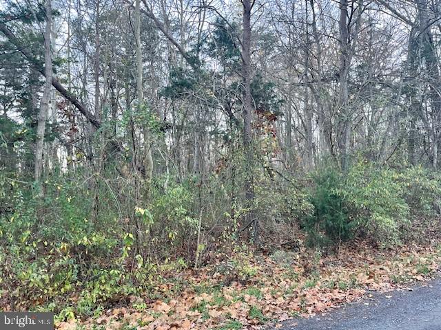 OAK LANE, LURAY, Virginia 22835, ,Land,For sale,OAK LANE,VAPA2004196 MLS # VAPA2004196