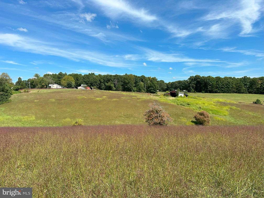 0 OAKVILLE RD, APPOMATTOX, Virginia 24522, ,Farm,For sale,0 OAKVILLE RD,VAAV2000022 MLS # VAAV2000022