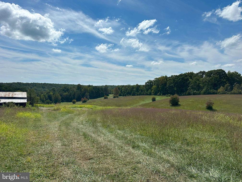 0 OAKVILLE RD, APPOMATTOX, Virginia 24522, ,Farm,For sale,0 OAKVILLE RD,VAAV2000022 MLS # VAAV2000022