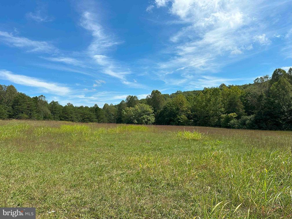 0 OAKVILLE RD, APPOMATTOX, Virginia 24522, ,Farm,For sale,0 OAKVILLE RD,VAAV2000022 MLS # VAAV2000022