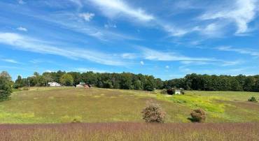 0 OAKVILLE RD, APPOMATTOX, Virginia 24522, ,Farm,For sale,0 OAKVILLE RD,VAAV2000022 MLS # VAAV2000022