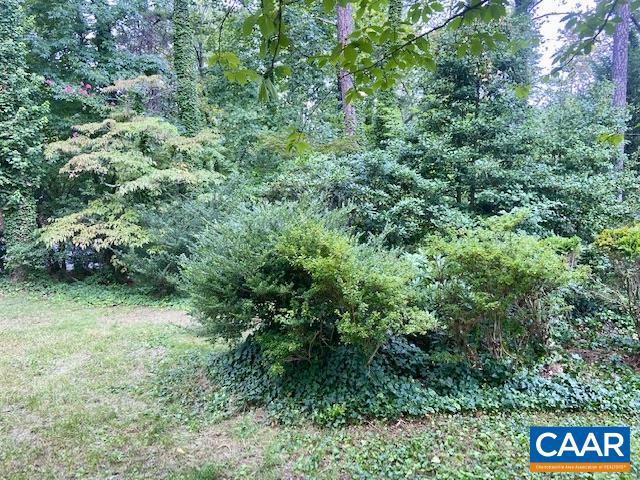 2029 SPOTTSWOOD RD, CHARLOTTESVILLE, Virginia 22901, ,Land,For sale,2029 SPOTTSWOOD RD,658744 MLS # 658744