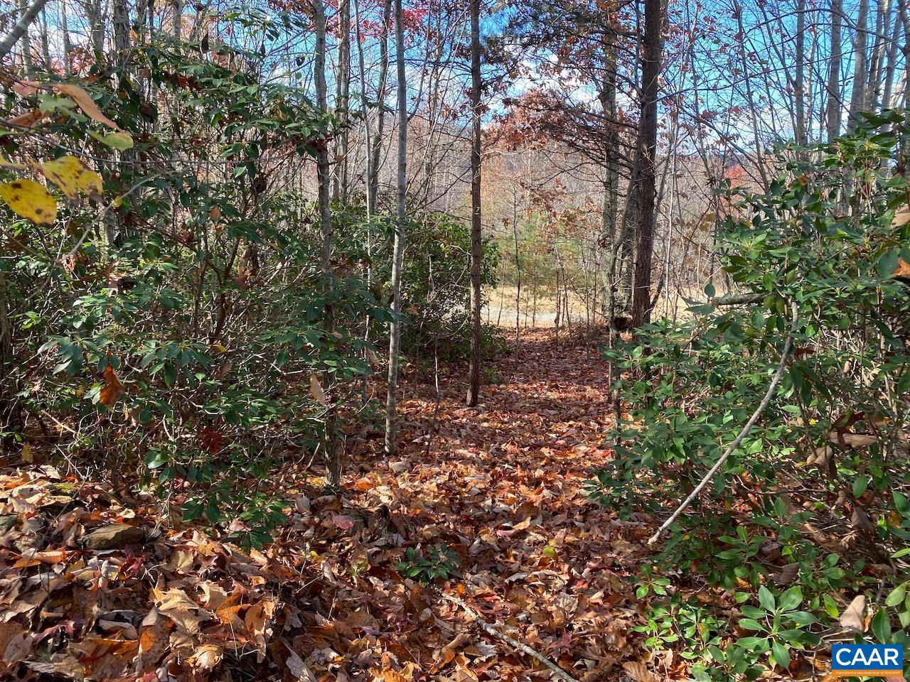 MOUNTAIN RIDGE LN #13, SHIPMAN, Virginia 22971, ,Land,For sale,MOUNTAIN RIDGE LN #13,658752 MLS # 658752