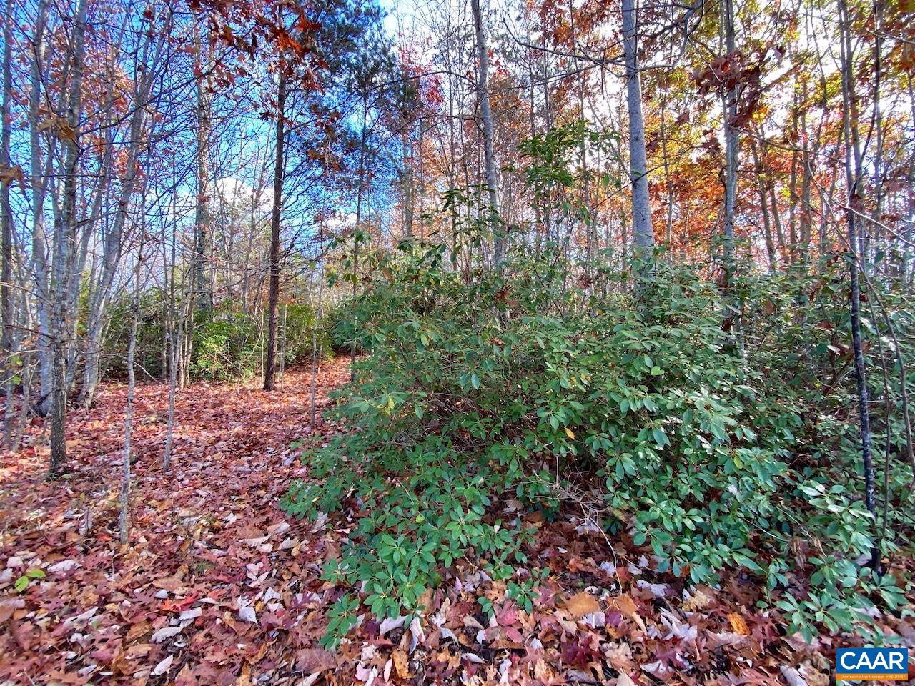 MOUNTAIN RIDGE LN #13, SHIPMAN, Virginia 22971, ,Land,For sale,MOUNTAIN RIDGE LN #13,658752 MLS # 658752