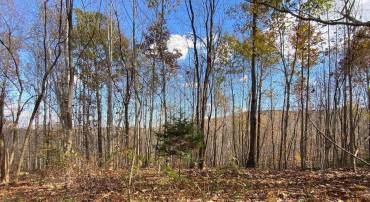 MOUNTAIN RIDGE LN #13, SHIPMAN, Virginia 22971, ,Land,For sale,MOUNTAIN RIDGE LN #13,658752 MLS # 658752