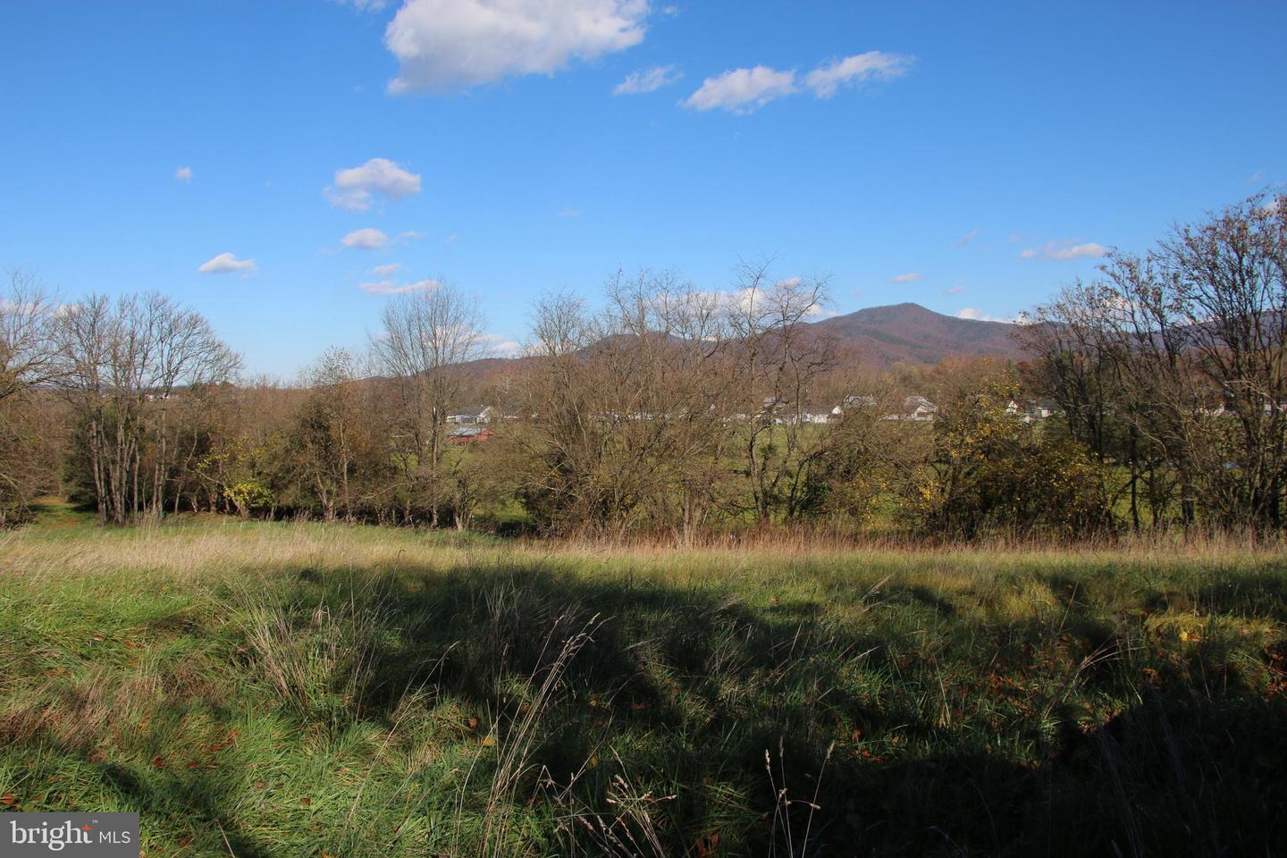 EDEN RD, LURAY, Virginia 22835, ,Land,For sale,EDEN RD,VAPA2004182 MLS # VAPA2004182