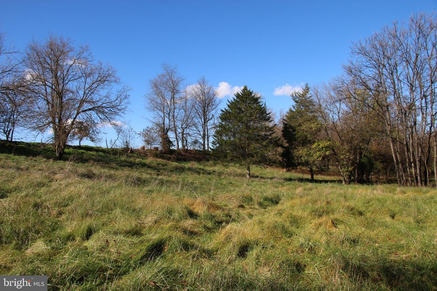 EDEN RD, LURAY, Virginia 22835, ,Land,For sale,EDEN RD,VAPA2004182 MLS # VAPA2004182