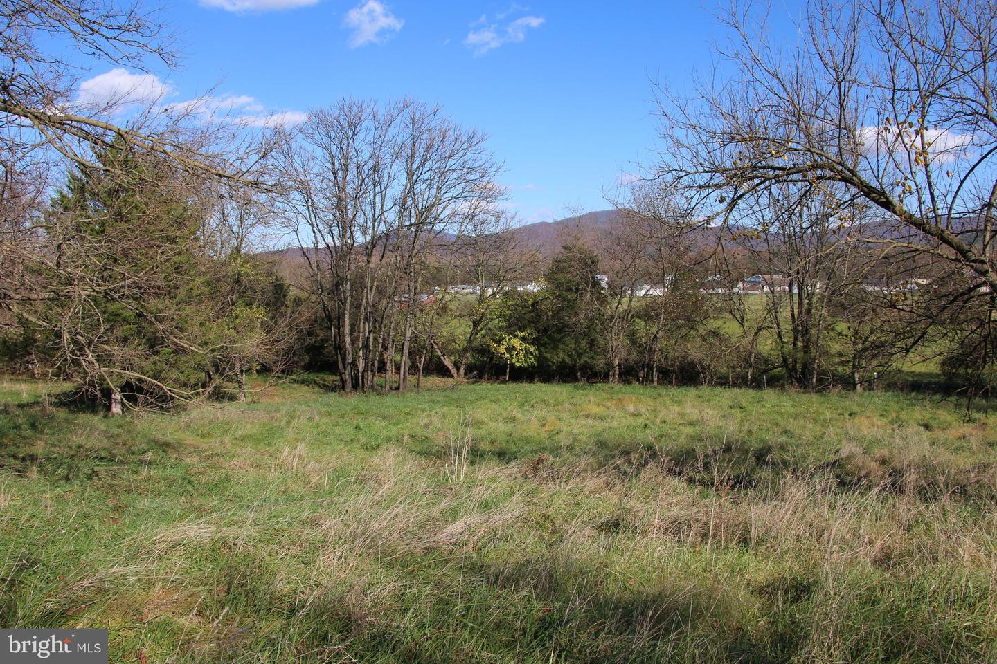 EDEN RD, LURAY, Virginia 22835, ,Land,For sale,EDEN RD,VAPA2004182 MLS # VAPA2004182