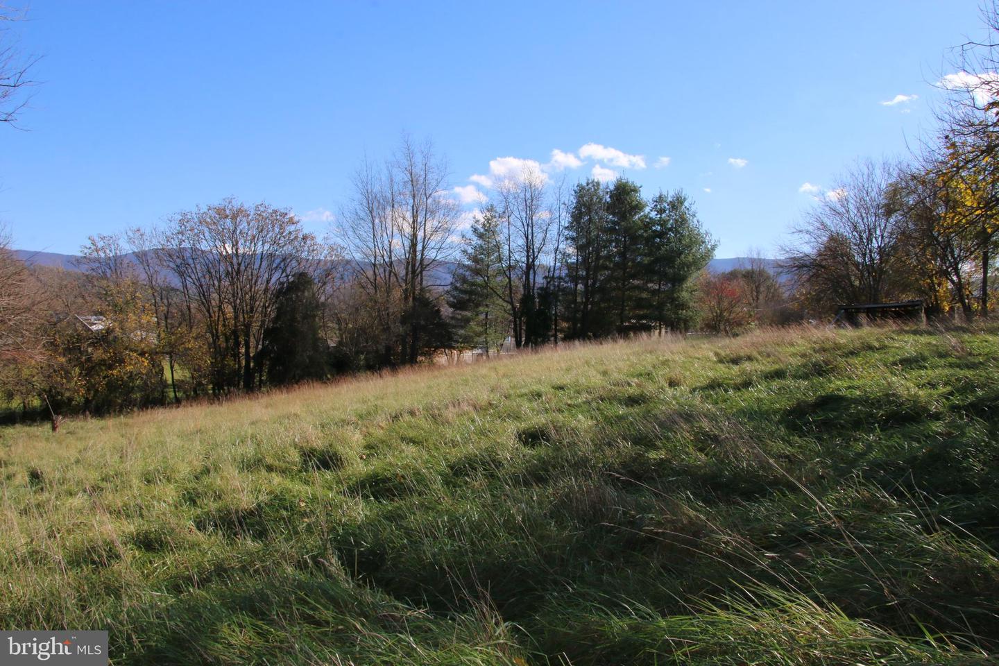 EDEN RD, LURAY, Virginia 22835, ,Land,For sale,EDEN RD,VAPA2004182 MLS # VAPA2004182