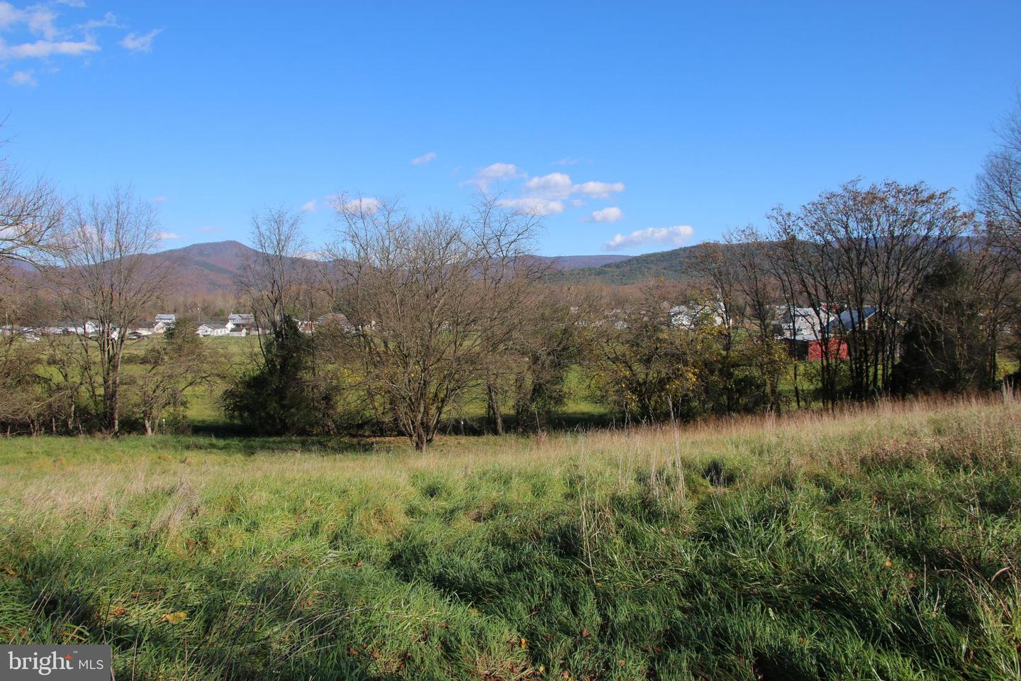 EDEN RD, LURAY, Virginia 22835, ,Land,For sale,EDEN RD,VAPA2004182 MLS # VAPA2004182