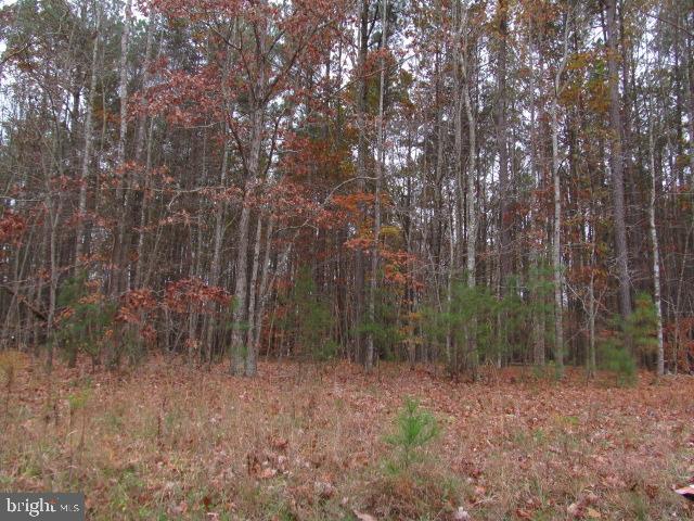 0 INDIANTOWN RD, LOCUST GROVE, Virginia 22508, ,Land,For sale,0 INDIANTOWN RD,VAOR2008362 MLS # VAOR2008362