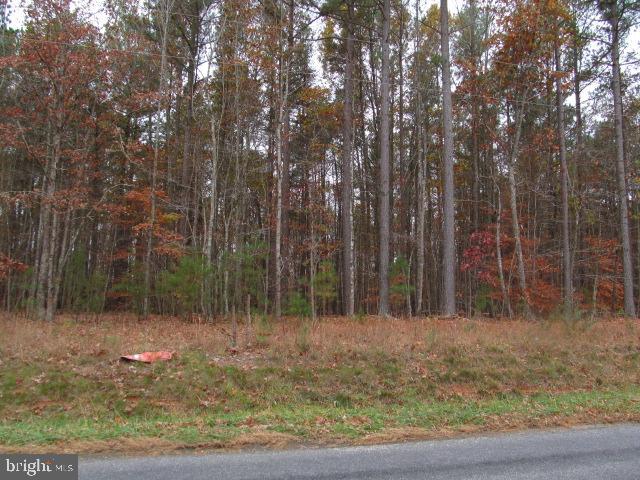 0 INDIANTOWN RD, LOCUST GROVE, Virginia 22508, ,Land,For sale,0 INDIANTOWN RD,VAOR2008362 MLS # VAOR2008362