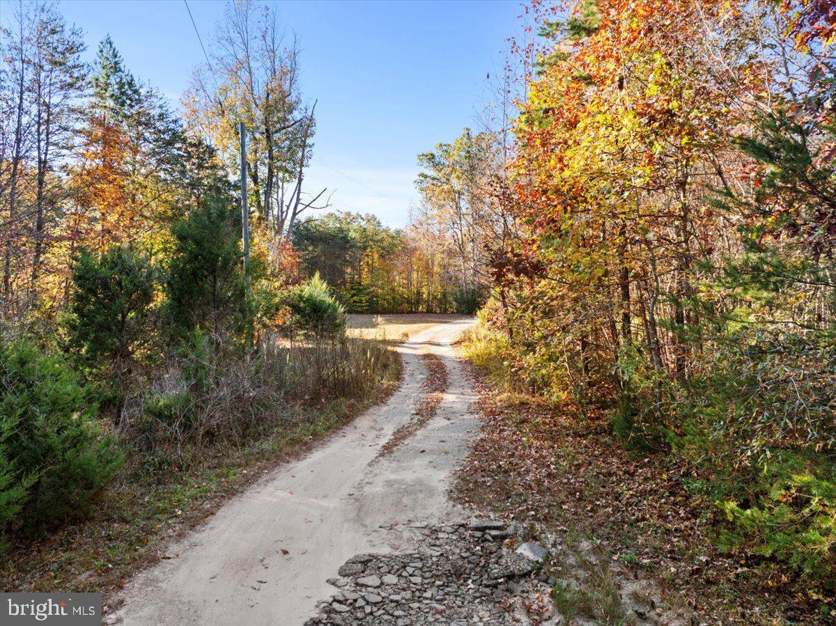 0 TANYARD LN, NELSON, Virginia 24580, ,Land,For sale,0 TANYARD LN,VAMB2000042 MLS # VAMB2000042