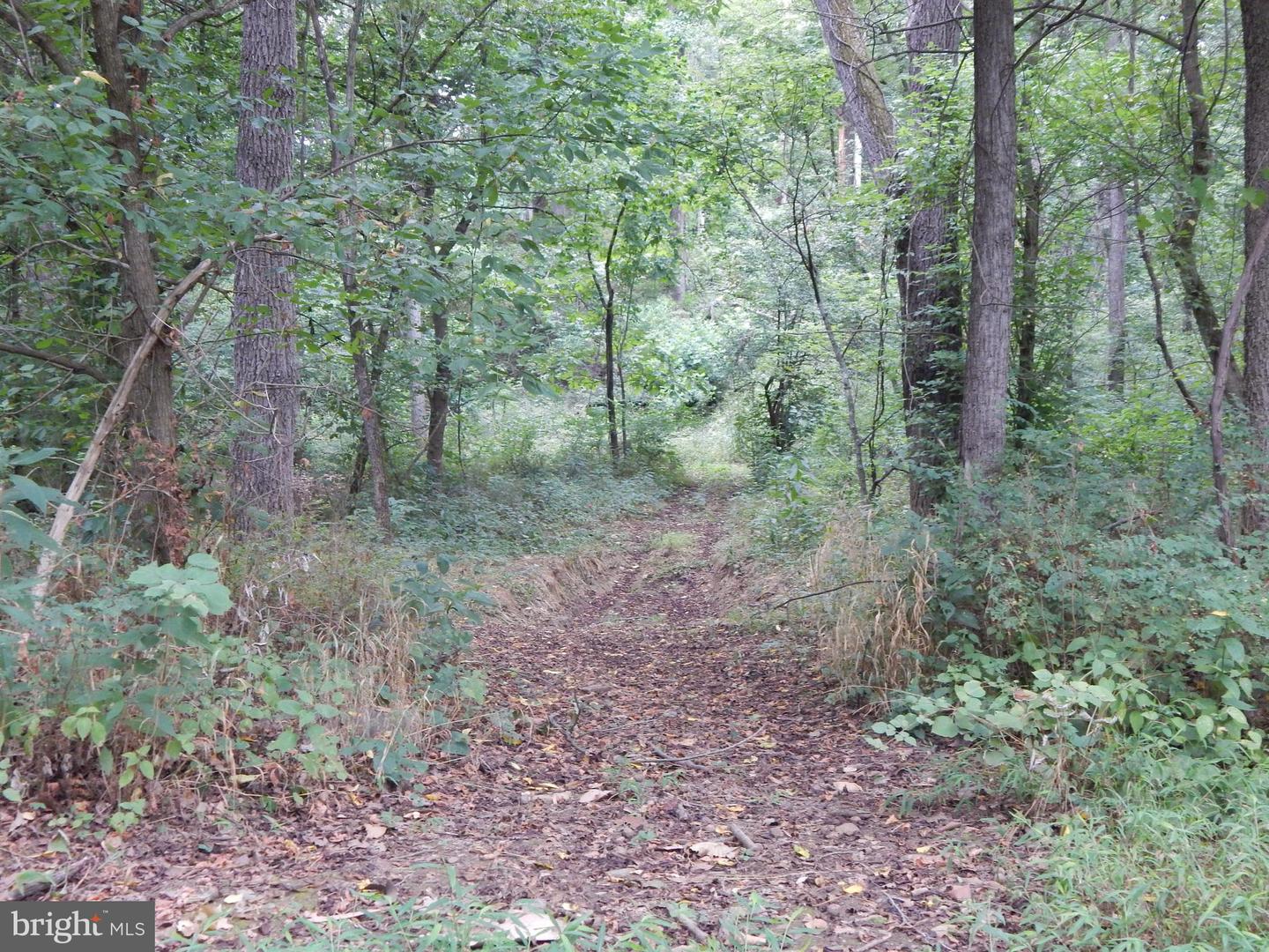 RACHELS LN, FRONT ROYAL, Virginia 22630, ,Land,For sale,RACHELS LN,VAWR2008632 MLS # VAWR2008632