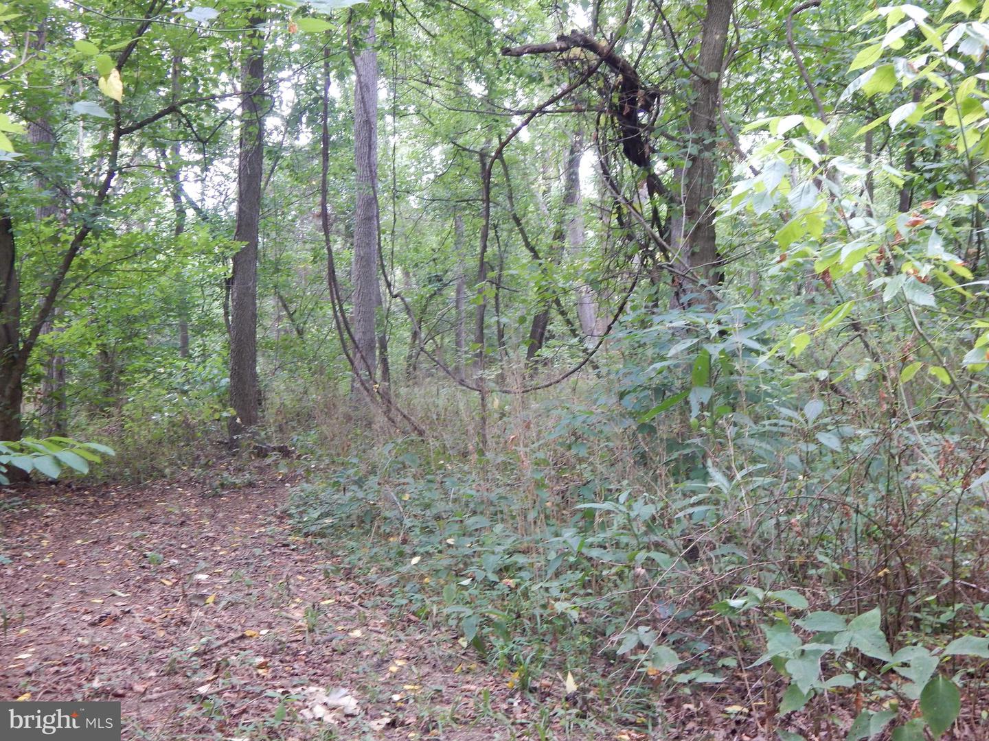 RACHELS LN, FRONT ROYAL, Virginia 22630, ,Land,For sale,RACHELS LN,VAWR2008632 MLS # VAWR2008632