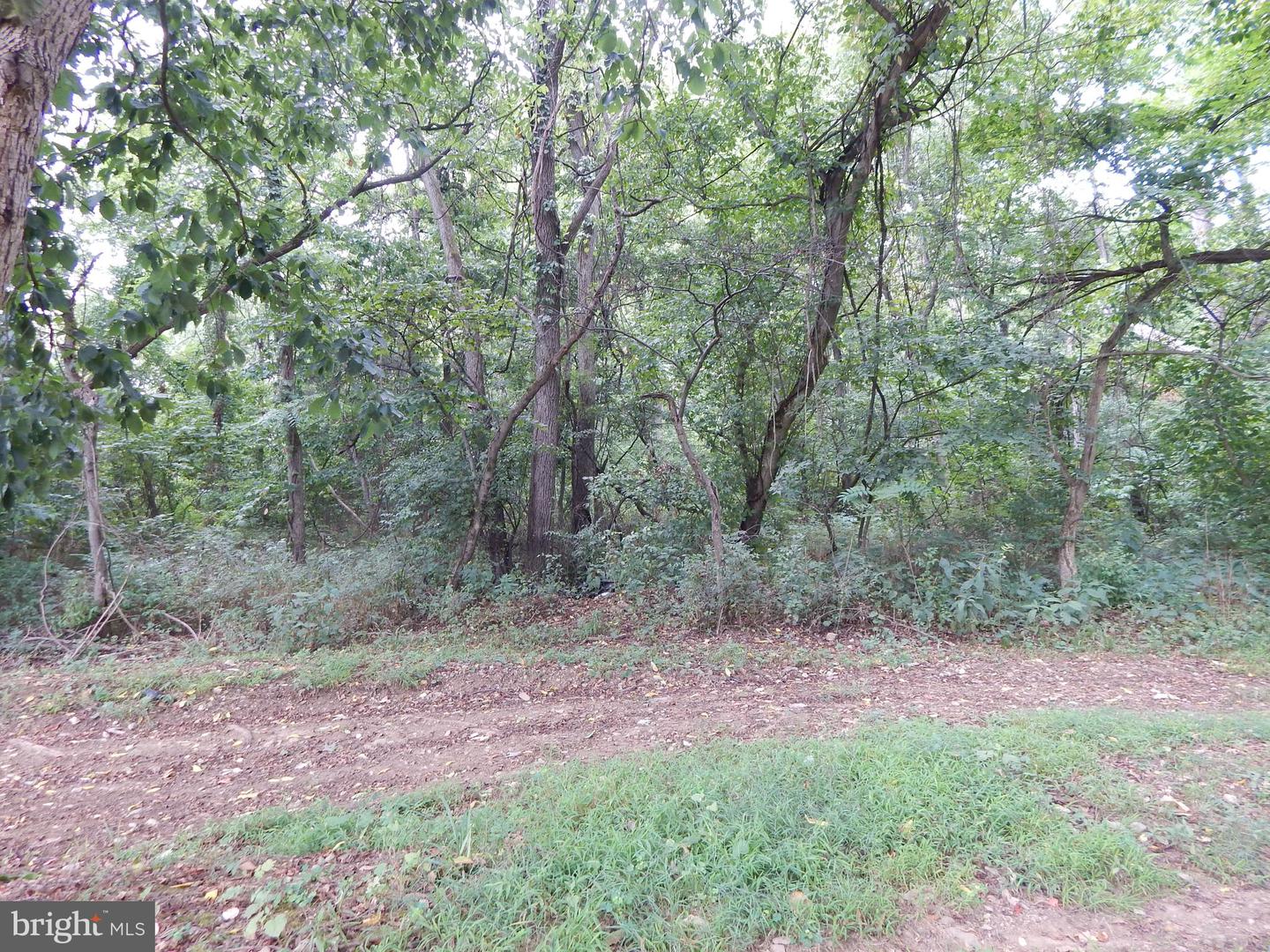 RACHELS LN, FRONT ROYAL, Virginia 22630, ,Land,For sale,RACHELS LN,VAWR2008632 MLS # VAWR2008632