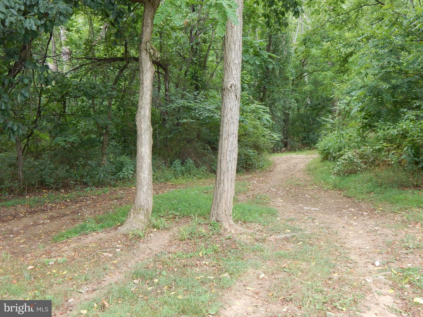 RACHELS LN, FRONT ROYAL, Virginia 22630, ,Land,For sale,RACHELS LN,VAWR2008632 MLS # VAWR2008632