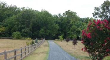 RACHELS LN, FRONT ROYAL, Virginia 22630, ,Land,For sale,RACHELS LN,VAWR2008632 MLS # VAWR2008632